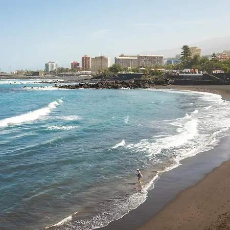 Okstay Bencomo 50 M From The Puerto de la Cruz